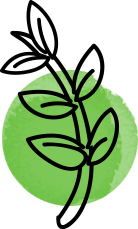 icono green de Síntesis y acción